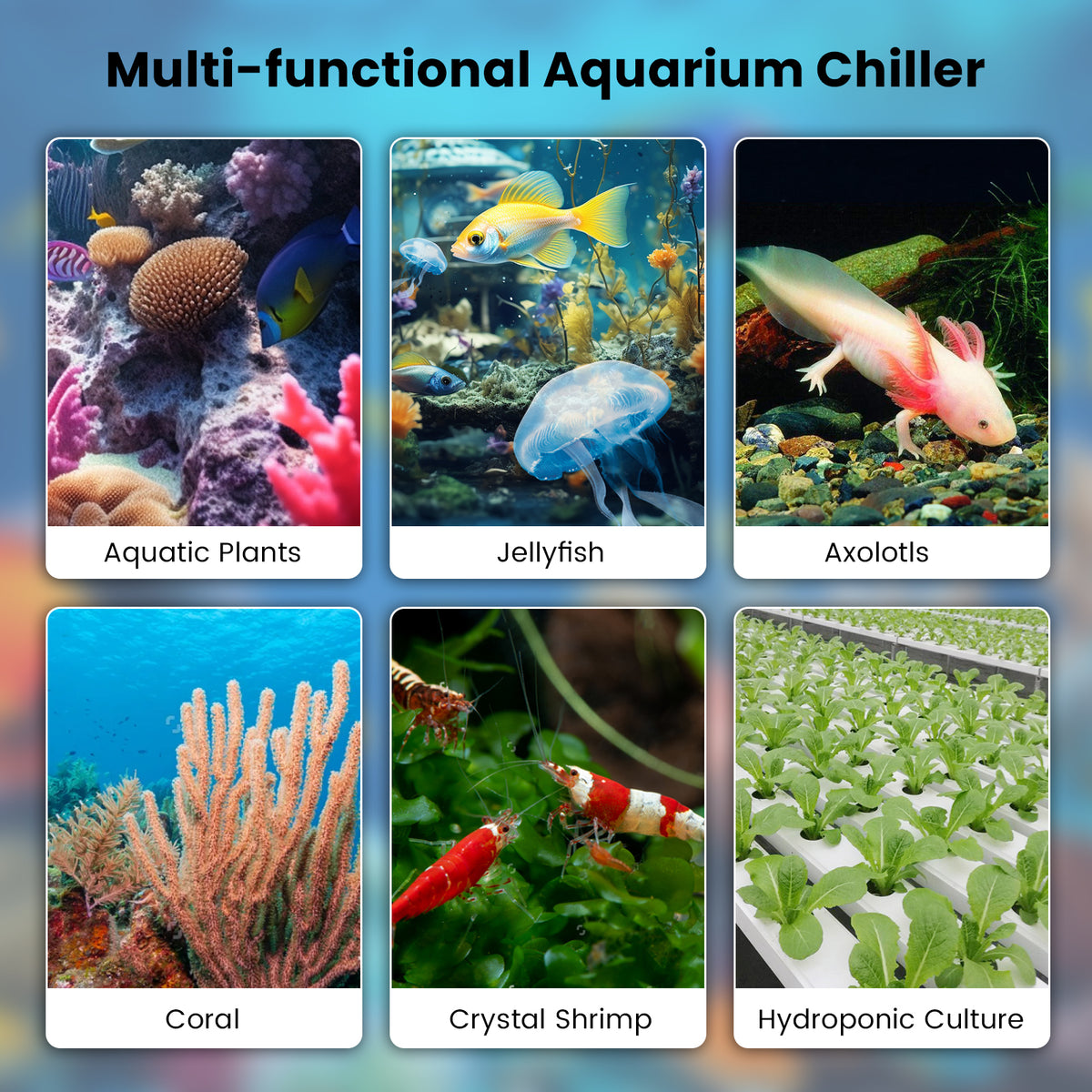 Ecojoy Aquarium Chiller 42 Gal, 1/10 HP Fish Tank Water Chiller Machine Hydroponic Cooling System with Effective Refrigeration Compressor and Upgraded LED display, for Axolotl Jellyfish