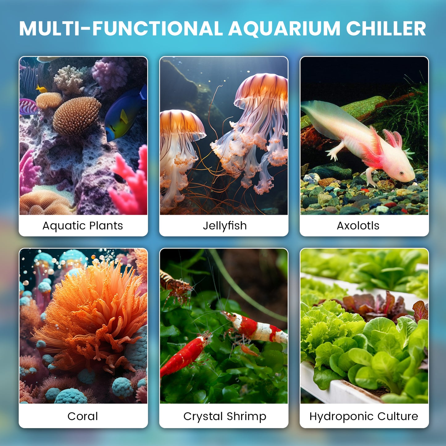 79 Gal Aquarium Chiller Water Chiller Hydroponic 1/3 HP Tank Cooler With Remote