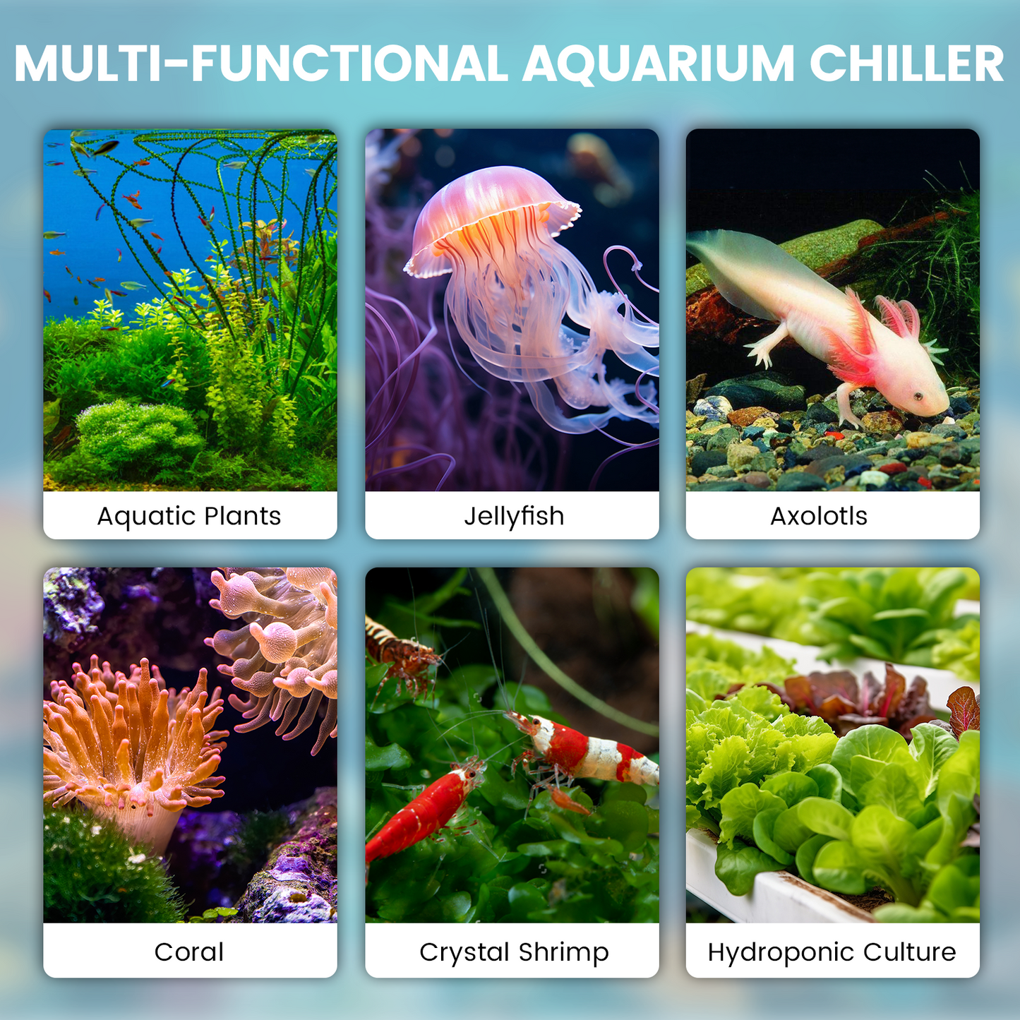 Ecojoy Aquarium Chiller,132gal 500L, 1/2 HP Aquarium Water Chiller for axolotl,Hydroponic System,ice bath