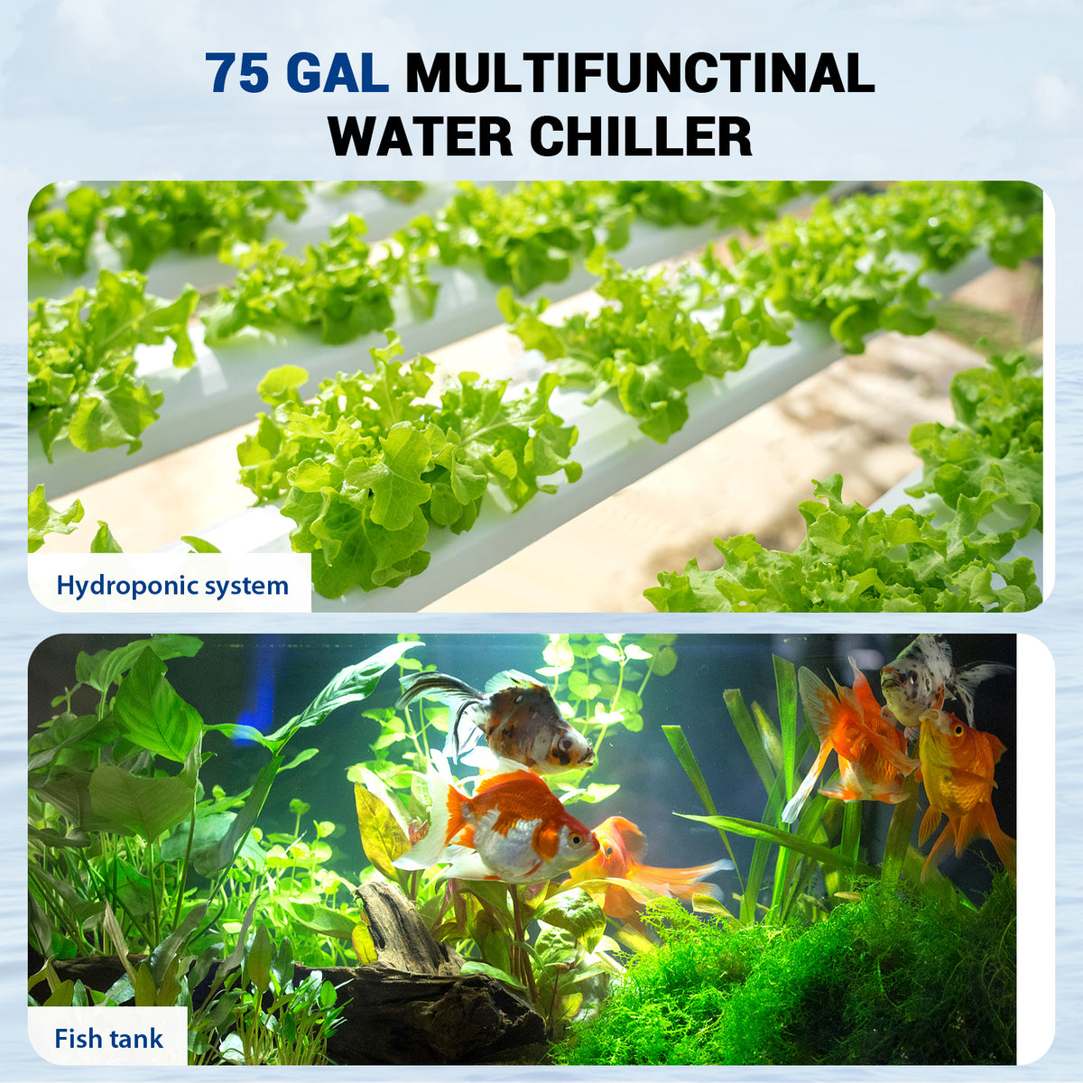 Ecojoy Aquarium Chiller 42 Gal, 1/10 HP Fish Tank Water Chiller Machine Hydroponic Cooling System with Effective Refrigeration Compressor and Upgraded LED display, for Axolotl Jellyfish